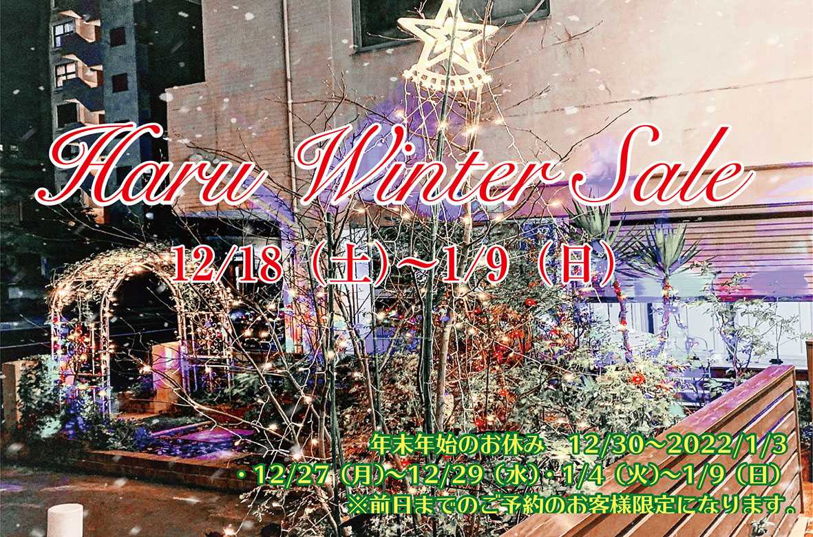 Haru Winter Sale