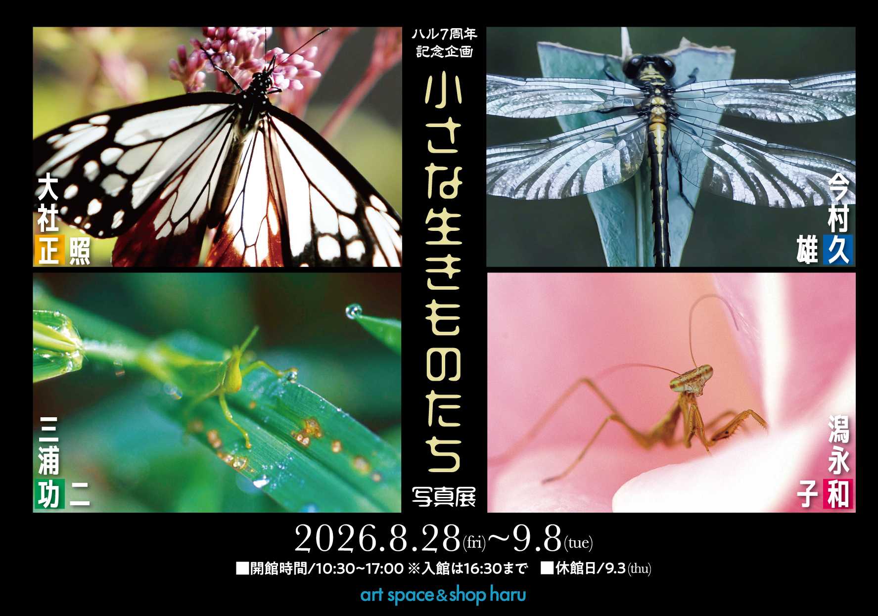 小さな生きものたち写真展