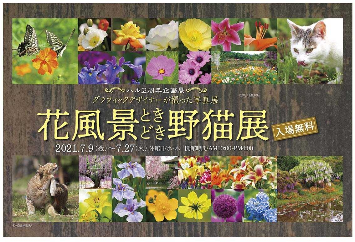 花風景ときどき野猫展 Art Space Haru 鹿児島市平之町